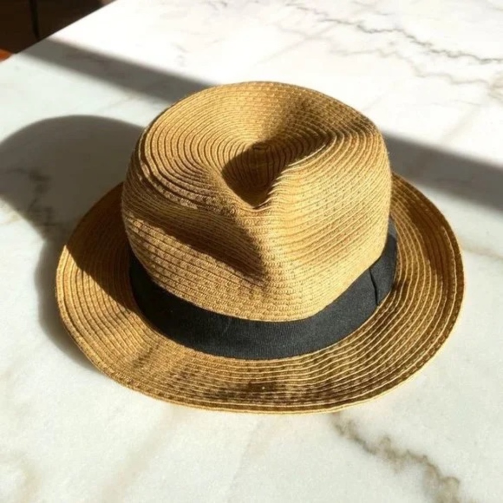 Fedora from Aritzia - size m/l